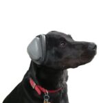 Hörselskydd för hundar