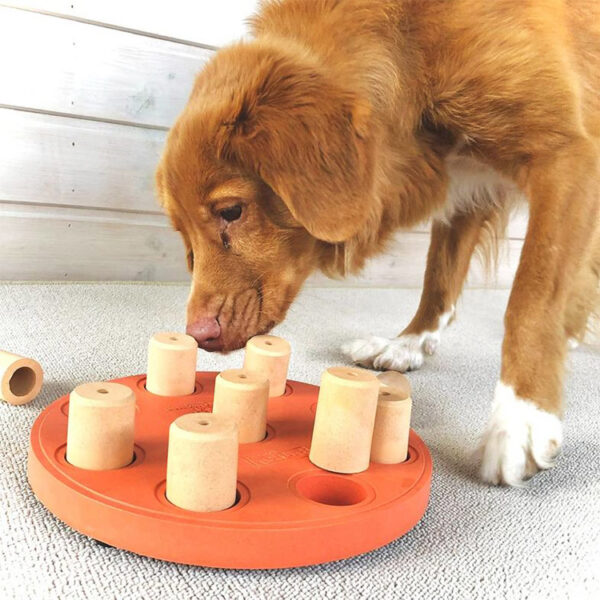 Aktivitetsspel för hunden, Nivå 1: Dog Smart